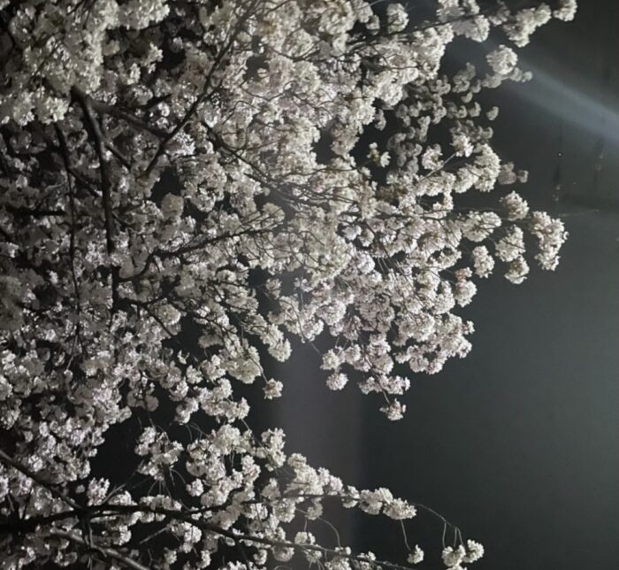 小事をなさざる者、大事を成さず