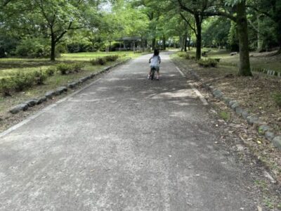 どこまでも進んでいける気がする時がある。