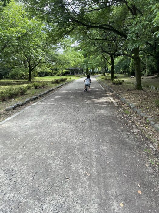 どこまでも進んでいける気がする時がある。