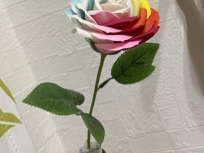 いつまでも綺麗に咲き誇る花はない。一瞬一瞬を強く生きる。