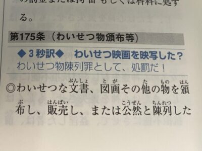 世間一般的にはわいせつ物。取り扱いには注意が必要だ。
