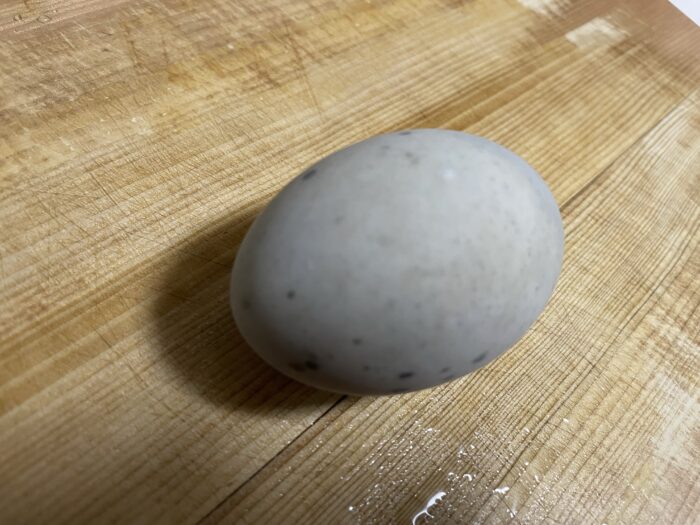 ゴロっとアヒルの卵のお出ましだ。
